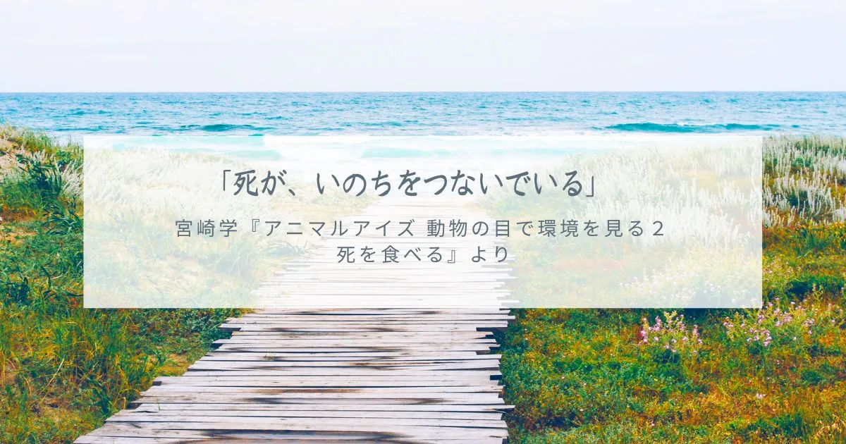 ～宮崎学『アニマルアイズ 動物の目で環境を見る２　死を食べる』より～